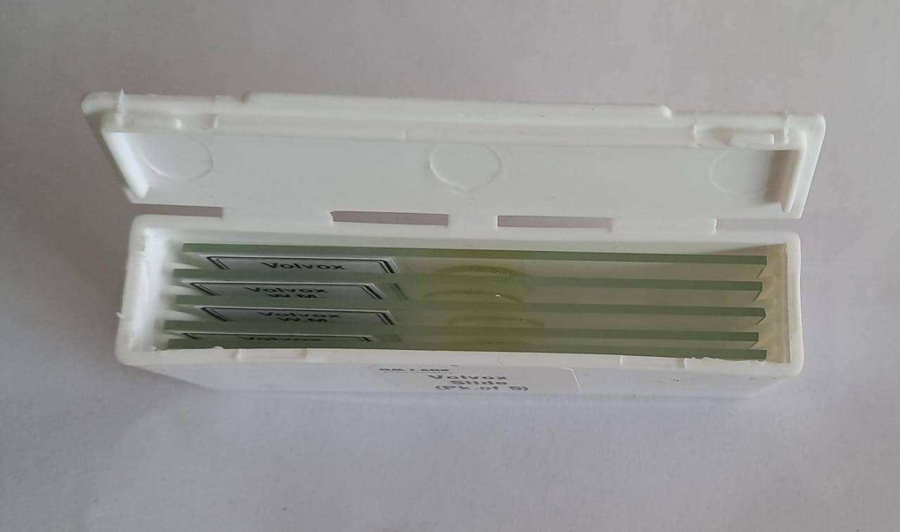 Volvox Slides Set Of 5 Pcs With Plastic Box