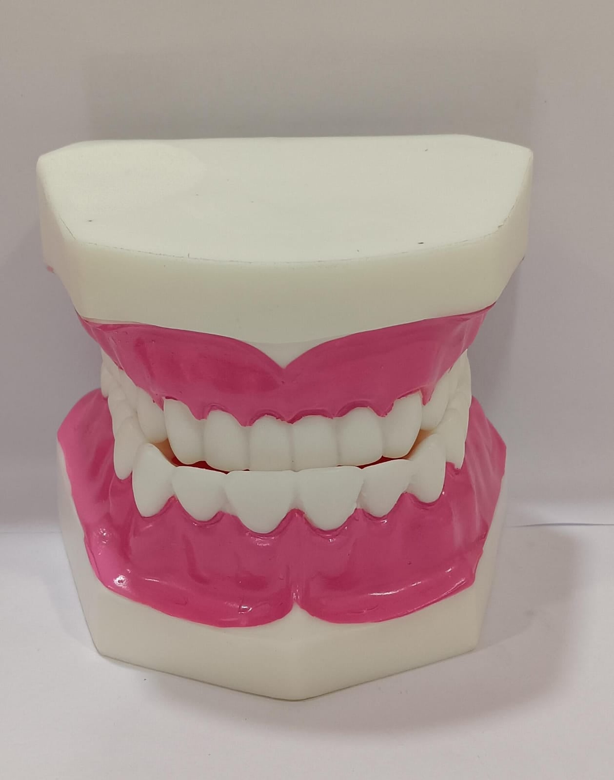 thumbnail interactive-video image 1 of Standard Dental Teeth Model - Adult Study Typodont Demonstration Tool For Teaching 1 of 6