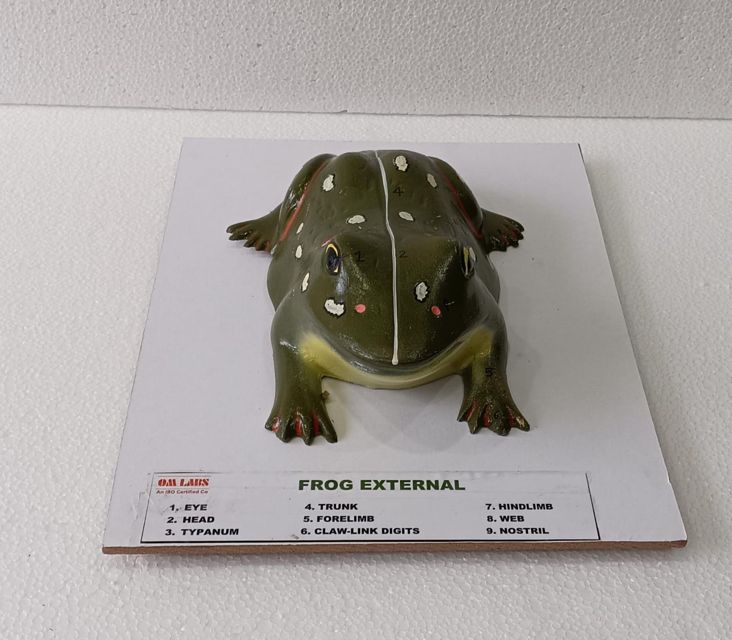 Frog External On Board Model