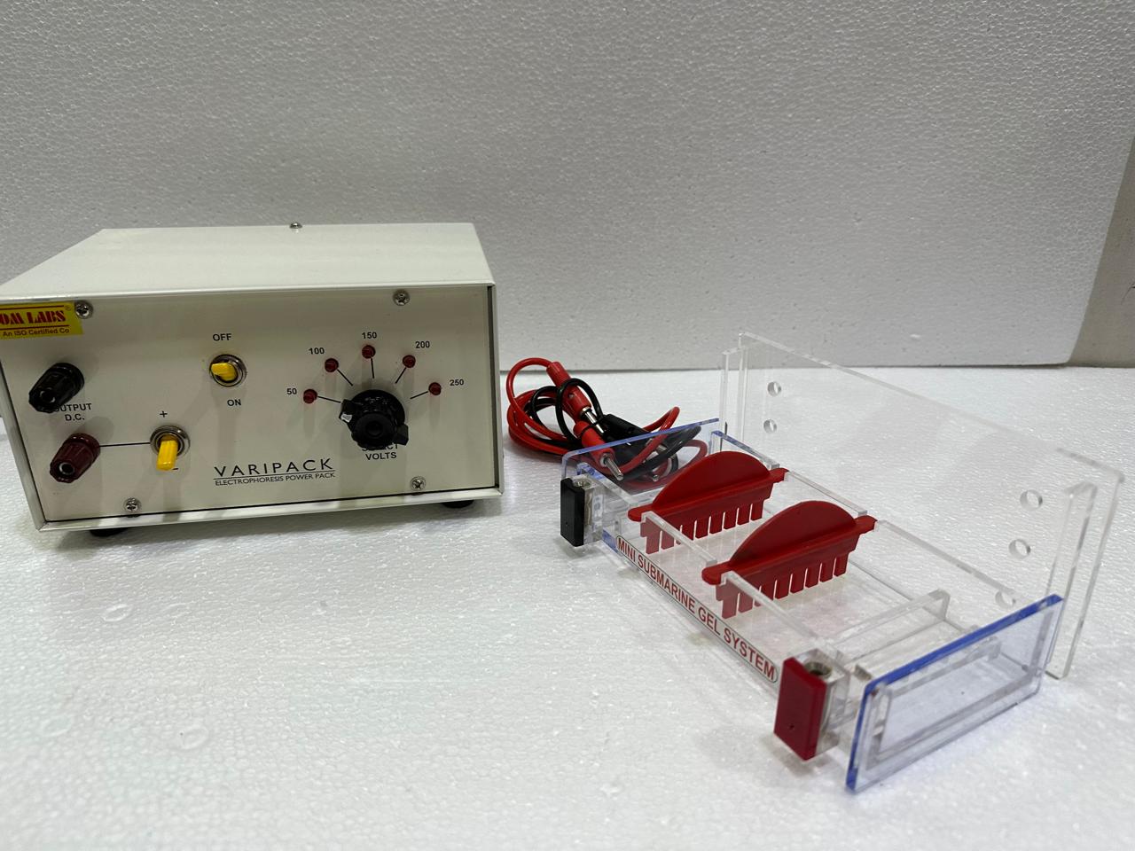 Mini Gel Electrophoresis Setup with Power Supply