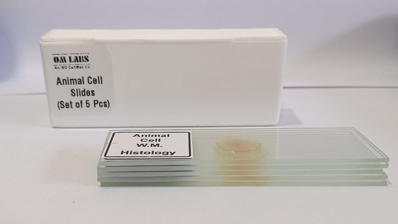 Animal Cell Prepared Microscope Slide Set (Set of 5 Pcs.) with Box ...