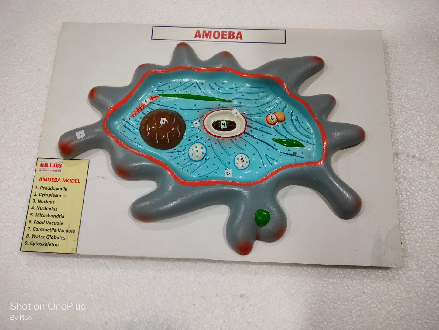 Amoeba On Board