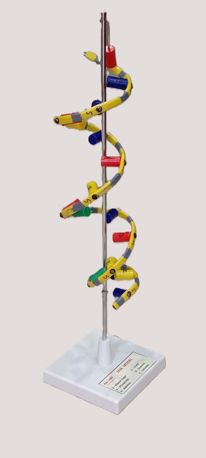 RNA Model Helix On Stand