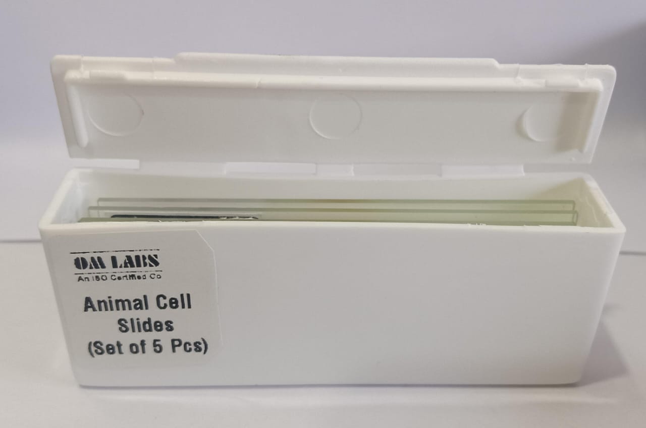 Animal Cell Prepared Microscope Slide Set (Set of 5 Pcs.) with Box