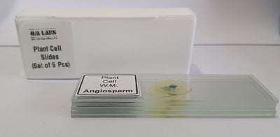 Plant Cell Prepared Microscope Slide Set (Set of 5 Pcs.) with Box