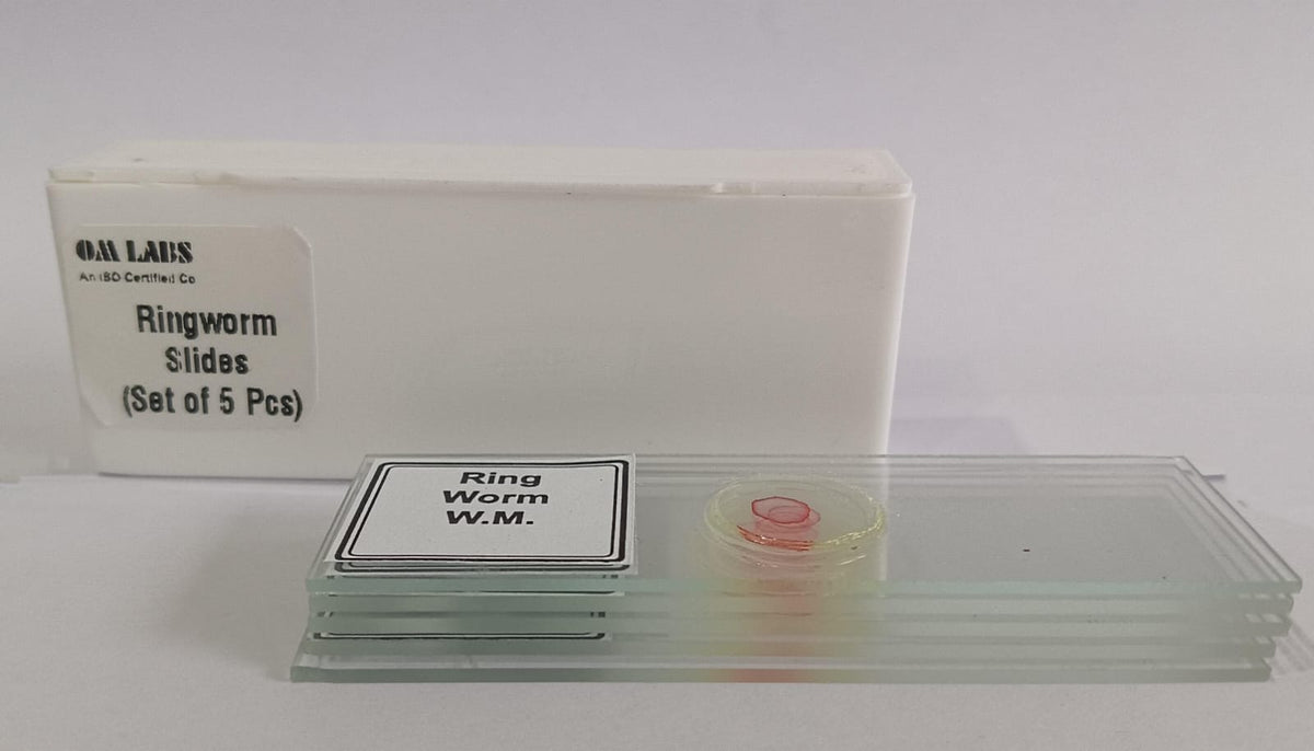 Double Ringed Microscope Slides Ringworm Prepared Microscope Slide Set (Set Of 5Pcs.) – scientifickart
