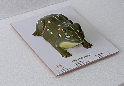 Frog External On Board Model