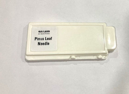 Pinus Leaf Needle T.S.