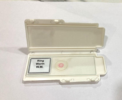 Ringworm Prepared Microscope Slide