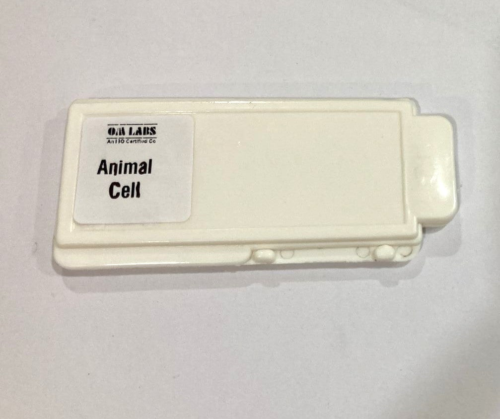 Animal Cell Prepared Microscope Slide
