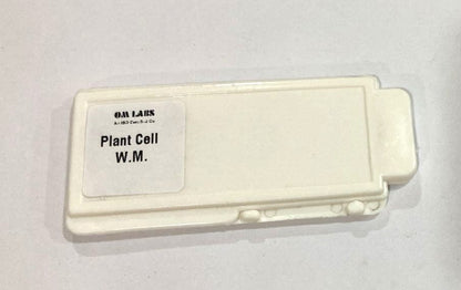 Plant Cell Prepared Microscope Slide