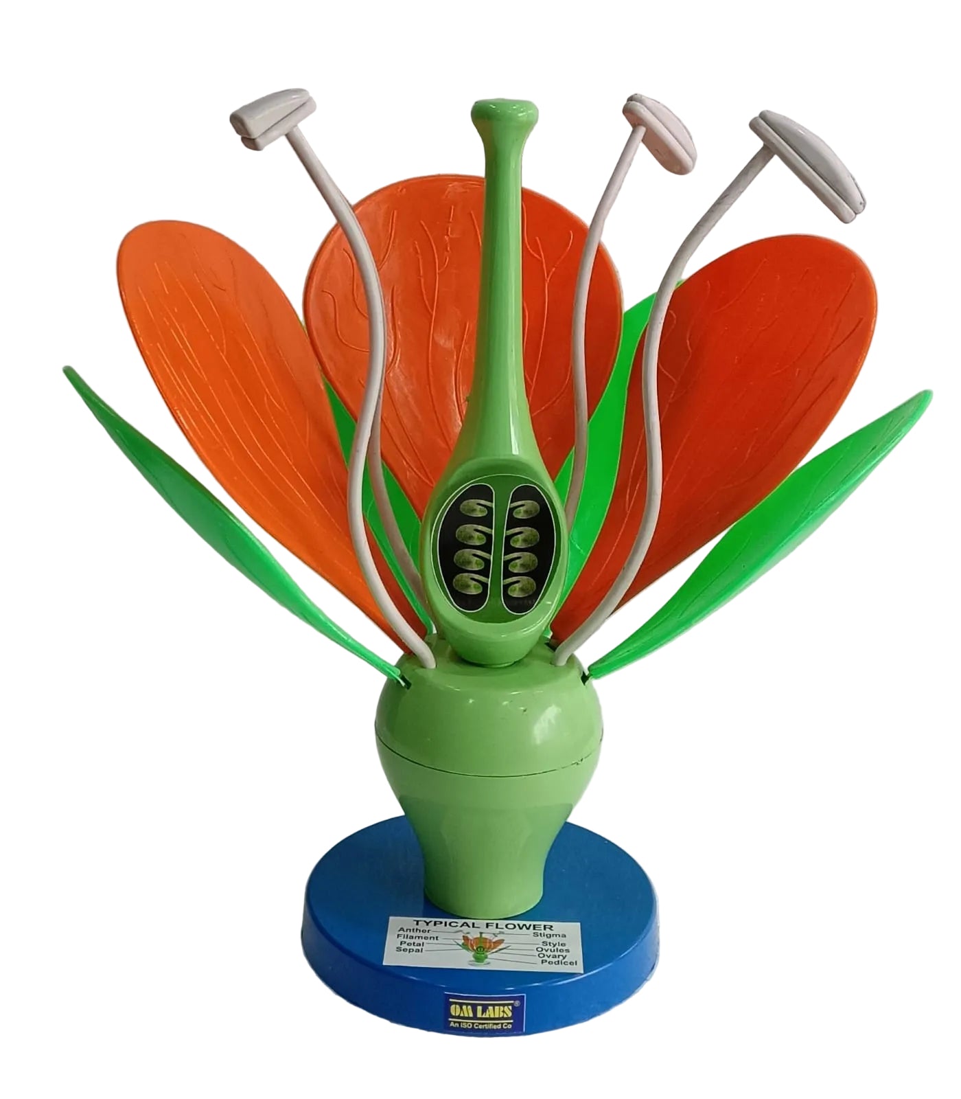 Flower Model On Stand