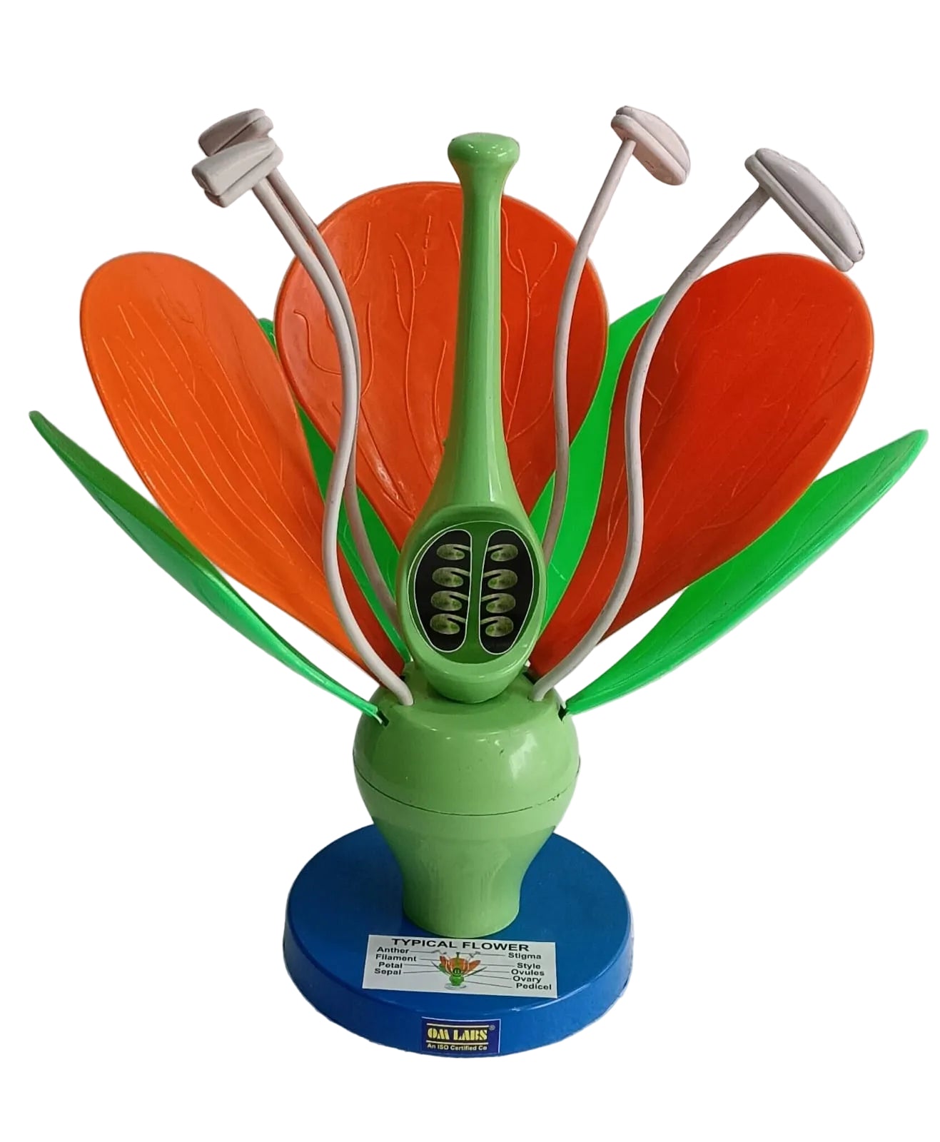 Flower Model On Stand