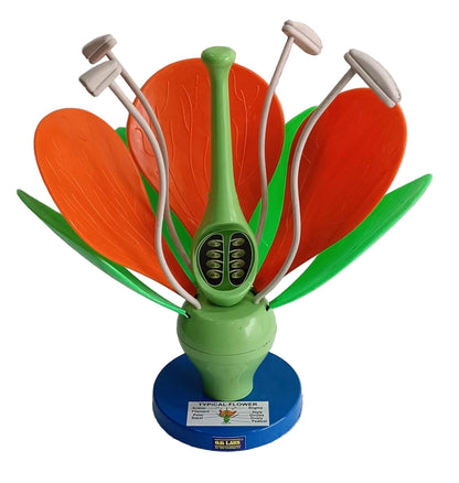 Flower Model On Stand