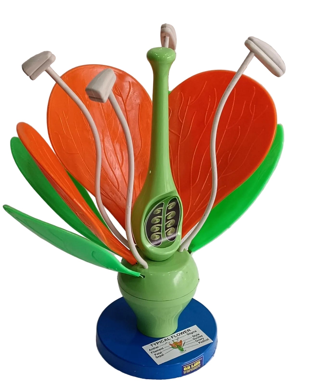 Flower Model On Stand