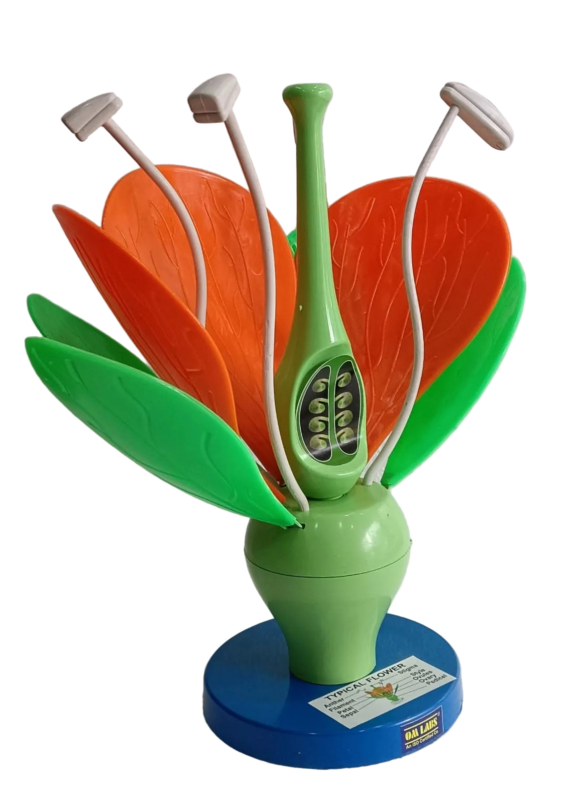 Flower Model On Stand