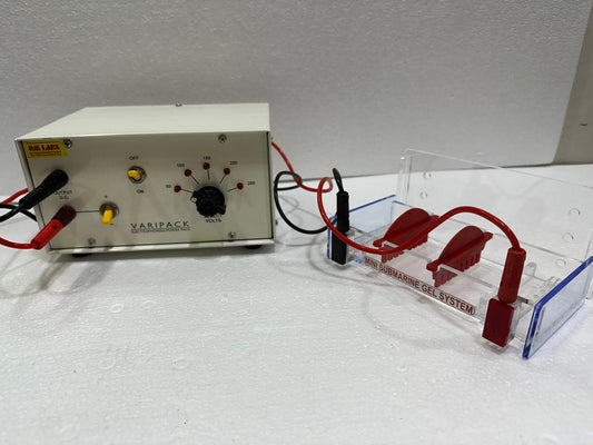 Mini Gel Electrophoresis Setup with Power Supply