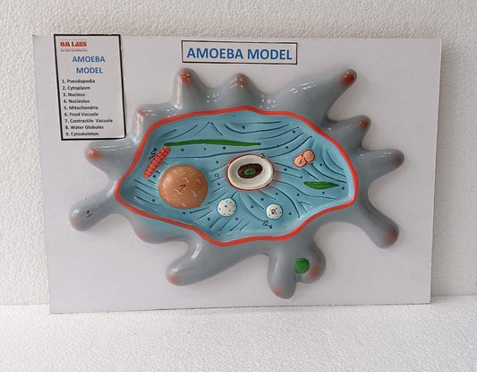 Amoeba On Board
