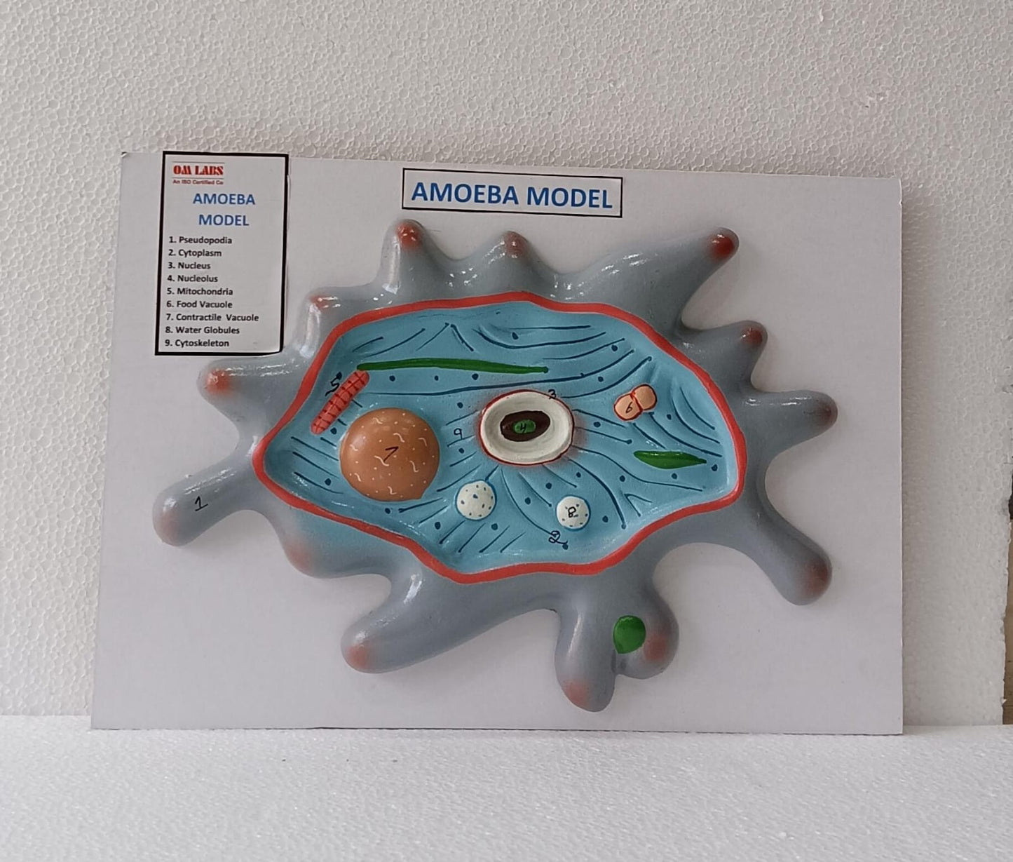 Amoeba On Board