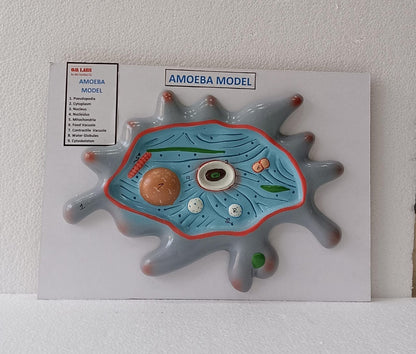Amoeba On Board