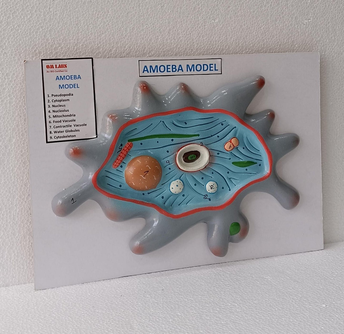 Amoeba On Board