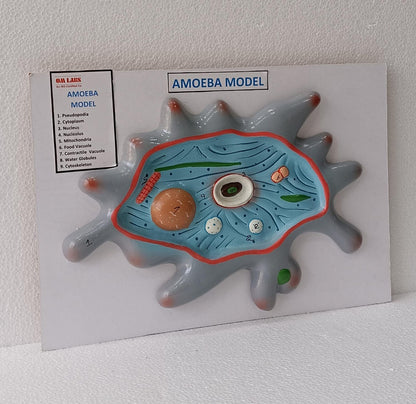 Amoeba On Board