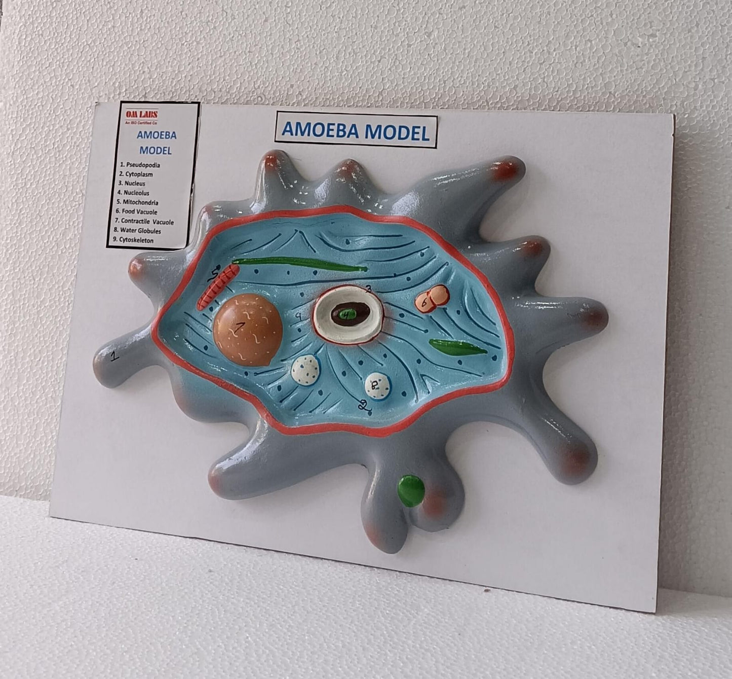 Amoeba On Board