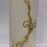 Cuscuta Specimen | Botany Specimen