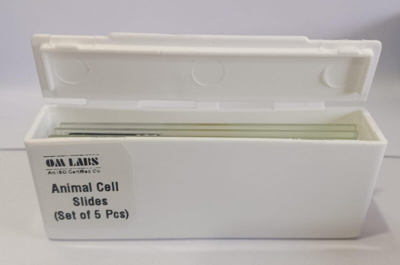 Animal Cell Prepared Microscope Slide Set (Set of 5 Pcs.) with Box - Image 4